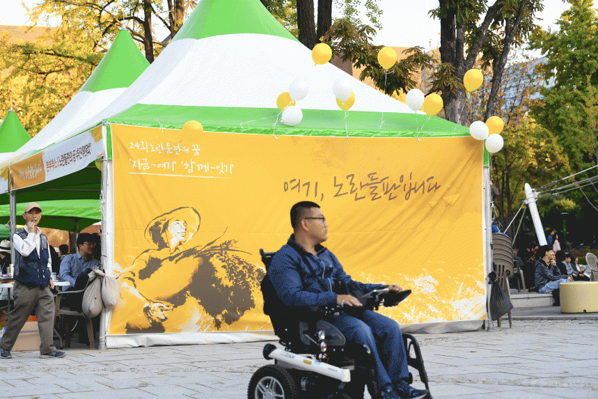 24번째 노란들판의 꿈! '여기, 노란들판입니다'. (첫 번째 사진 들)
