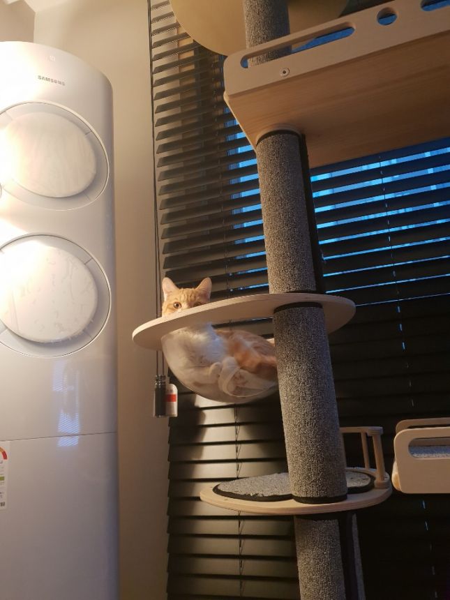 KakaoTalk_20190111_154330602.jpg