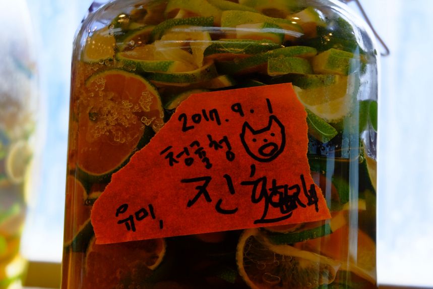 청귤과 가지 사이