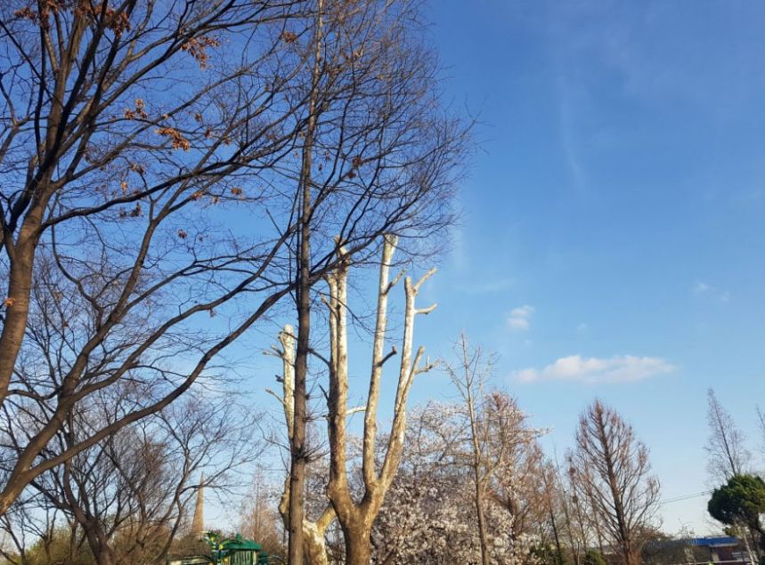 파란하늘2.jpg