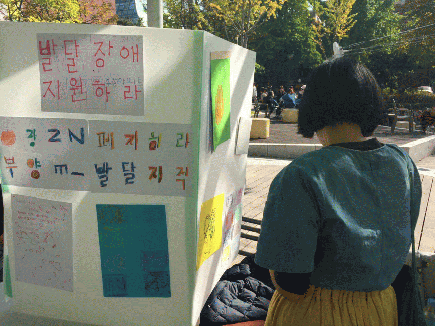 24번째 노란들판의 꿈! '여기, 노란들판입니다'. (첫 번째 사진 들)