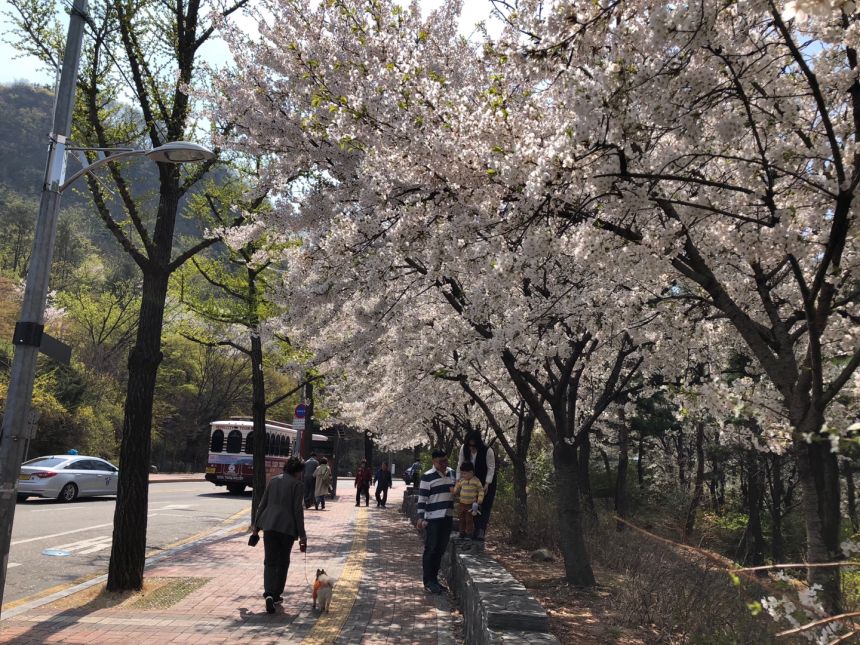 노란들판 권익옹호팀 3~4월 활동사진
