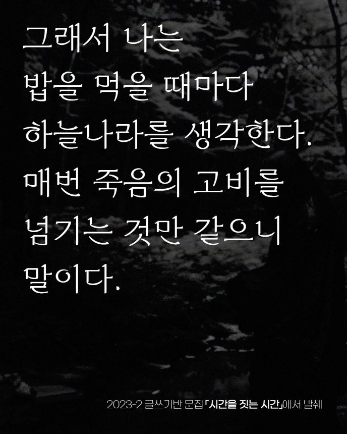 갤러리 이미지 5