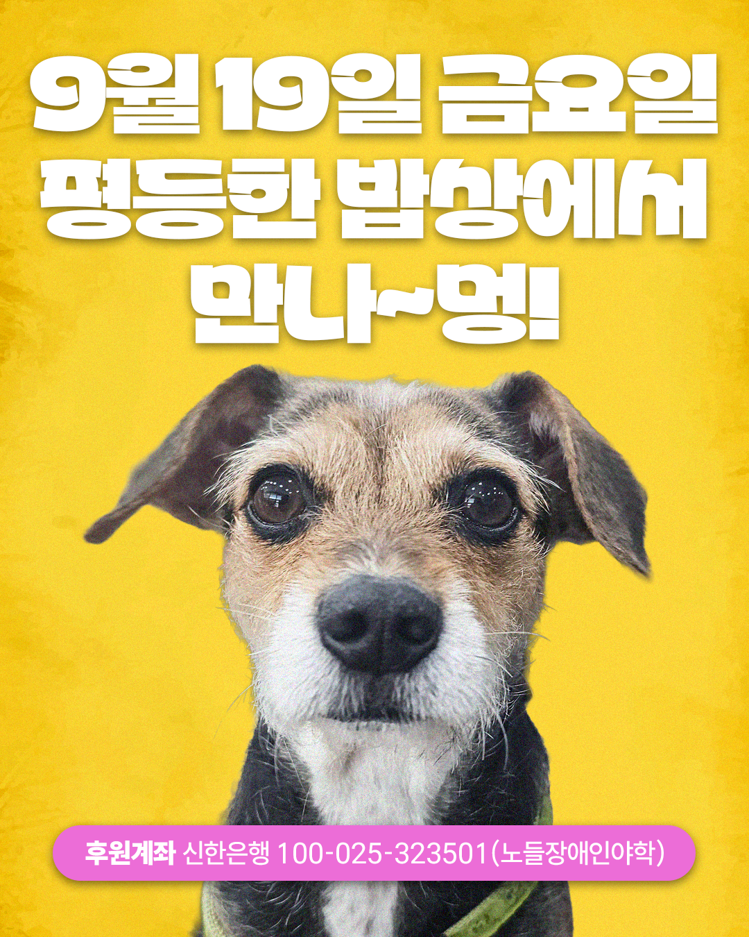[평등한 밥상 카드뉴스] 강현정에게 평등한 밥상이란?