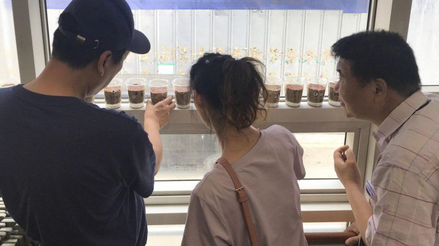 노들 낮수업 '천천히 즐겁게 함께' 연옥님이 고른 한 학기 활동 사진입니다.