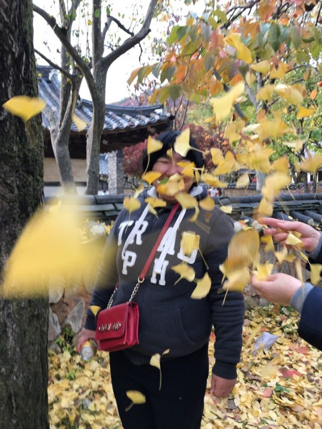 2019 노들 모꼬지 1 - 용인 와우정사, 민속촌